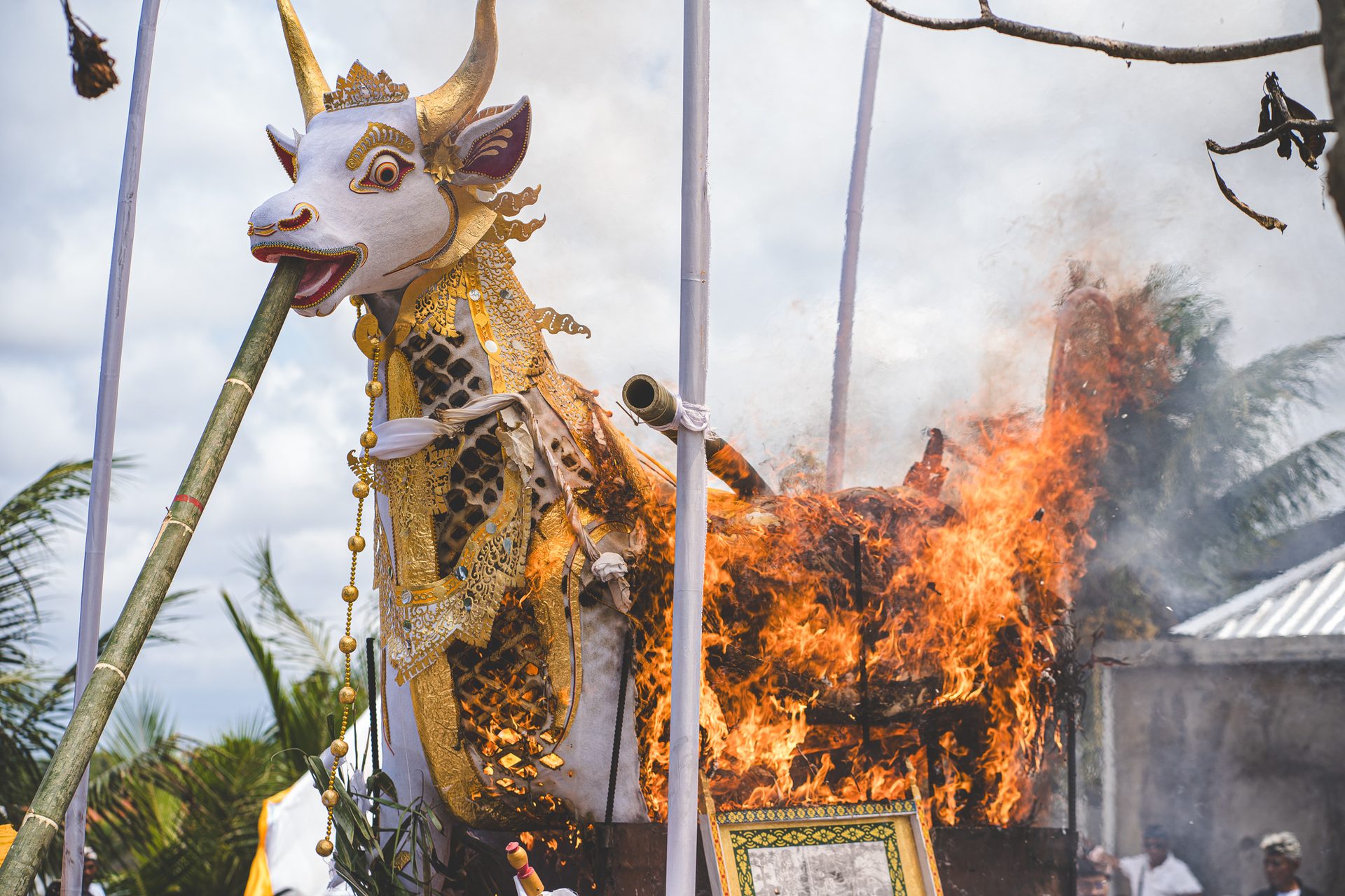 Le petulangan entièrement embrasé pendant la crémation, Bali