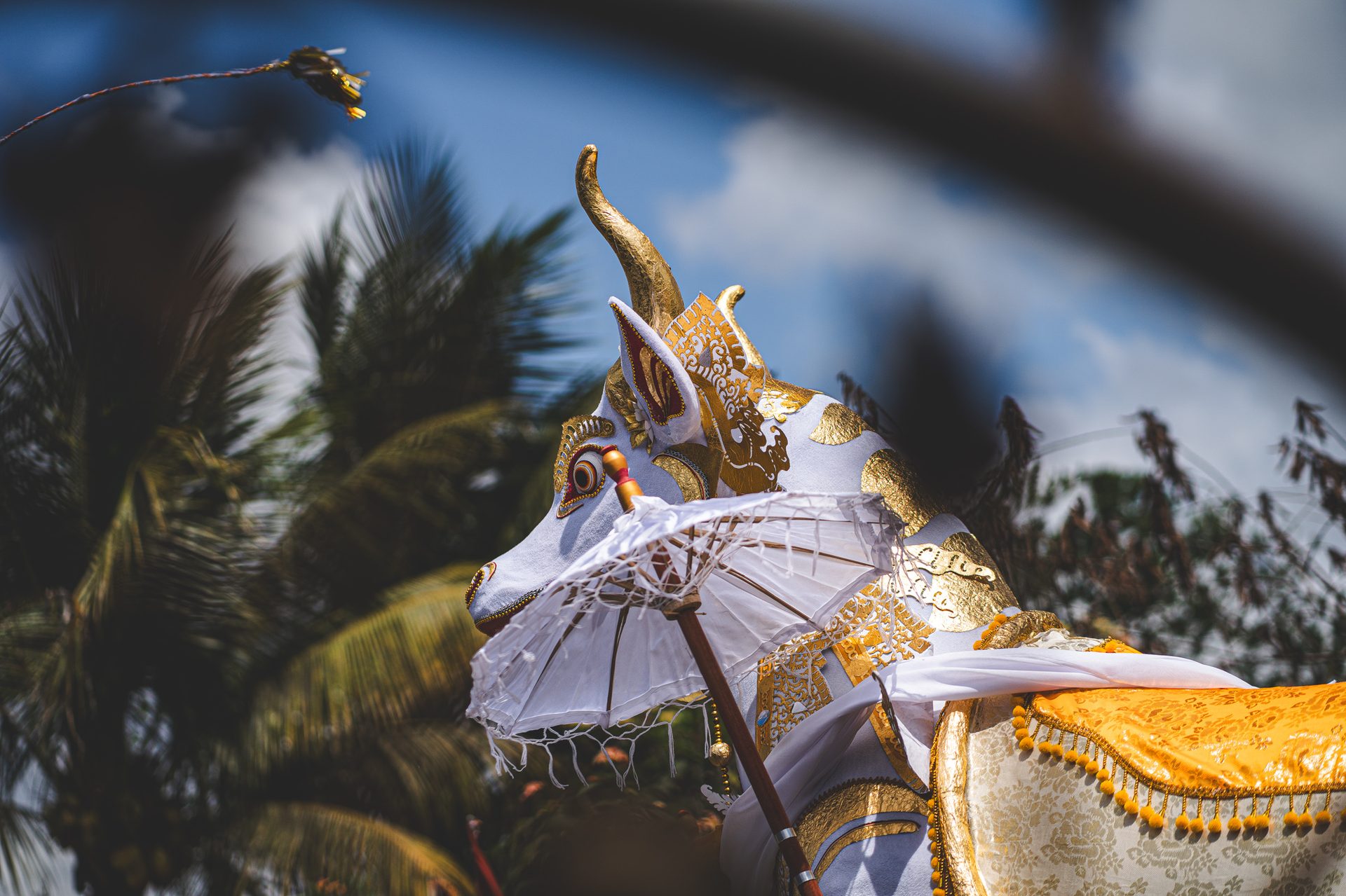 Le petulangan bousculé dans son parcours en zigzag, ruban en mouvement, Bali
