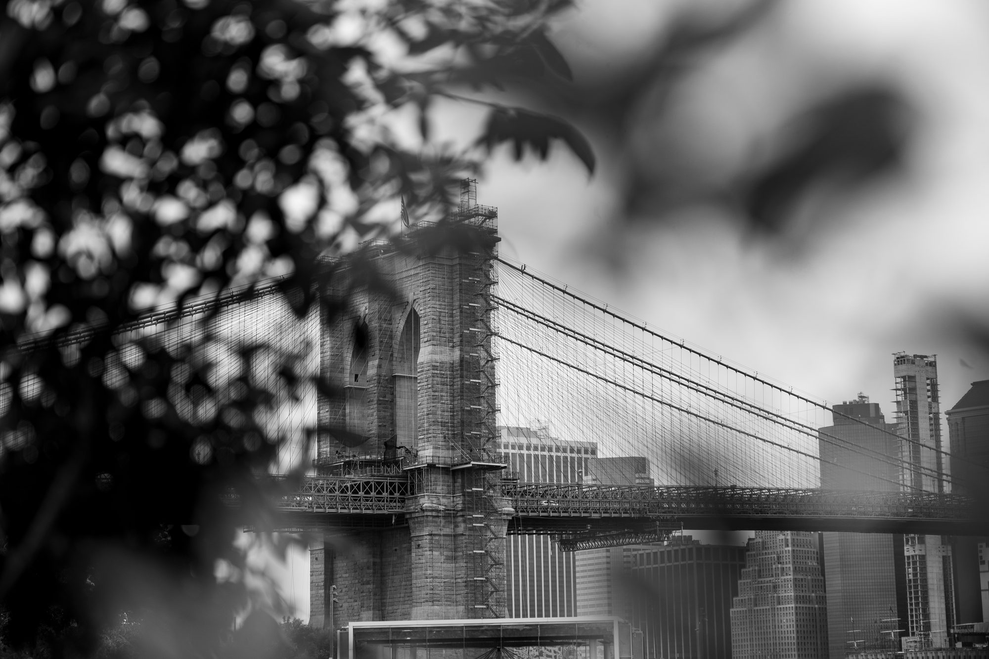 Brooklyn Bridge II