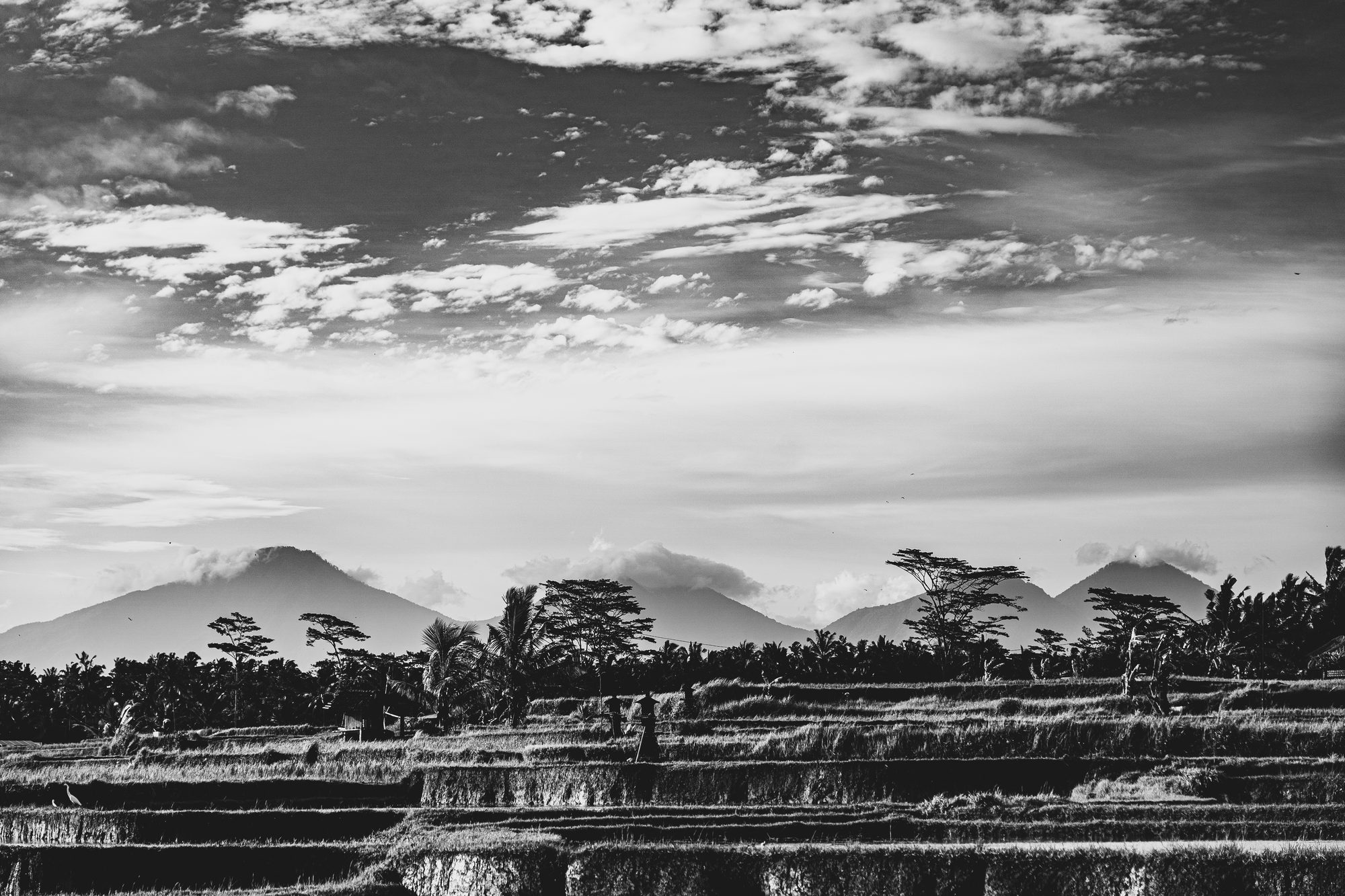 Pourquoi je photographie encore en noir et blanc